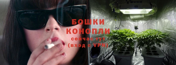 гашик Вязьма