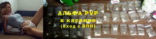 гашик Вязьма