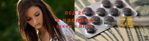 дживик Вяземский
