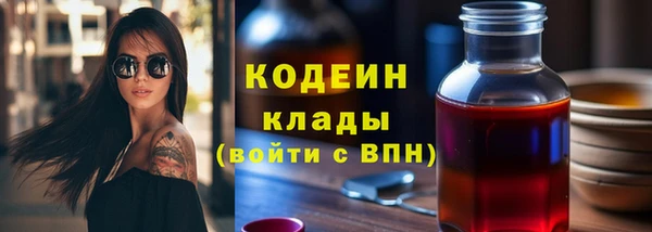 гашик Вязьма