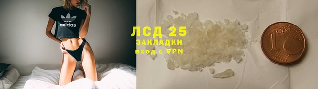 прущие крисы Вязники