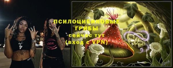 гашик Вязьма