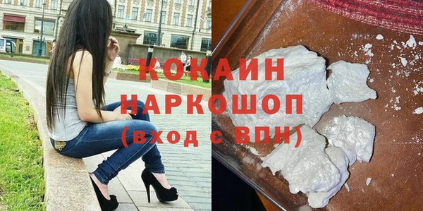 гашик Вязьма