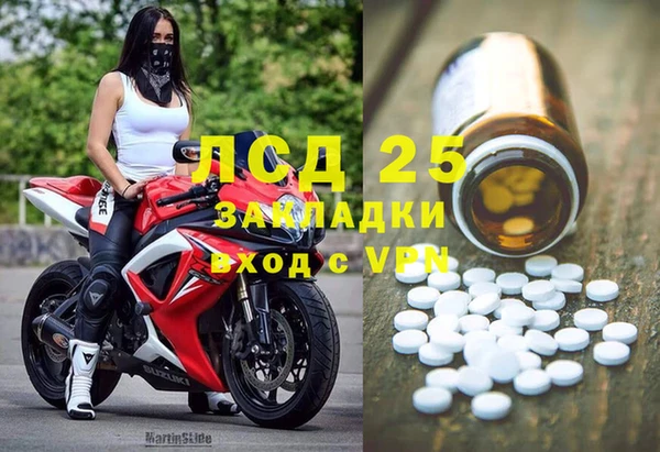 гашик Вязьма