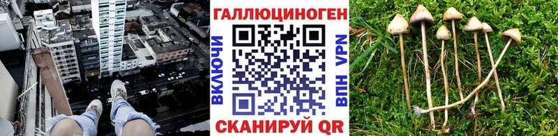 Галлюциногенные грибы мицелий  Кадников 